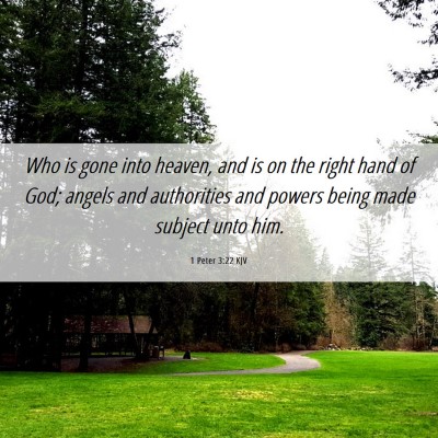 Picture 06 - 1 Peter 3:22 KJV - Who is gone into heaven, and is on the right hand - Bible Verse Picture