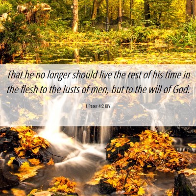Picture 06 - 1 Peter 4:2 KJV - That he no longer should live the rest of his - Bible Verse Picture