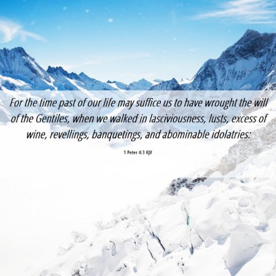 Picture 06 - 1 Peter 4:3 KJV - For the time past of our life may suffice us to - Bible Verse Picture