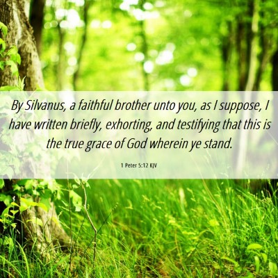 Picture 06 - 1 Peter 5:12 KJV - By Silvanus, a faithful brother unto you, as I - Bible Verse Picture