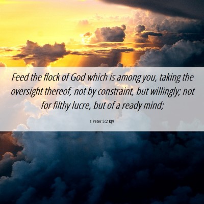 Picture 06 - 1 Peter 5:2 KJV - Feed the flock of God which is among you, taking - Bible Verse Picture