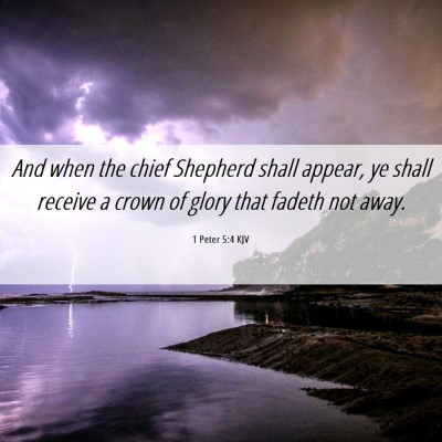 Picture 06 - 1 Peter 5:4 KJV - And when the chief Shepherd shall appear, ye - Bible Verse Picture