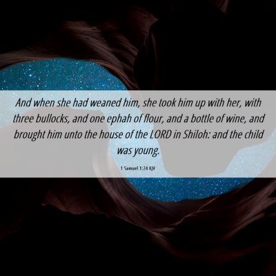 Picture 06 - 1 Samuel 1:24 KJV - And when she had weaned him, she took him up with - Bible Verse Picture