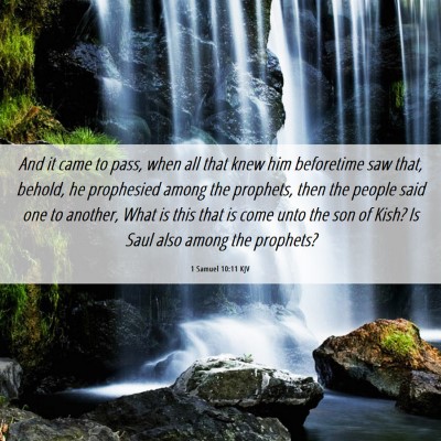 Picture 06 - 1 Samuel 10:11 KJV - And it came to pass, when all that knew him - Bible Verse Picture