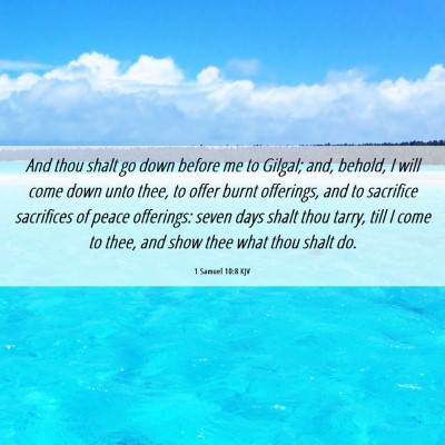 Picture 06 - 1 Samuel 10:8 KJV - And thou shalt go down before me to Gilgal; and, - Bible Verse Picture