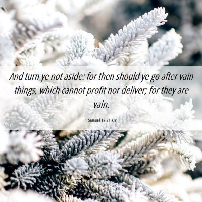 Picture 06 - 1 Samuel 12:21 KJV - And turn ye not aside: for then should ye go - Bible Verse Picture