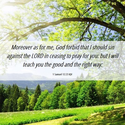 Picture 06 - 1 Samuel 12:23 KJV - Moreover as for me, God forbid that I should sin - Bible Verse Picture