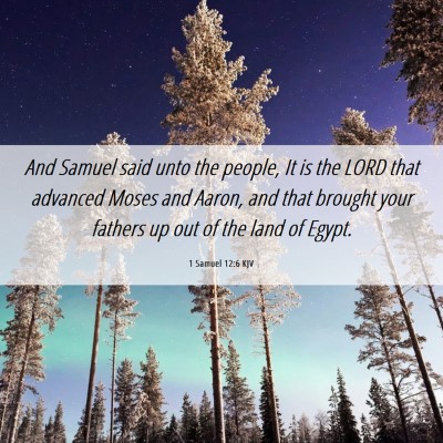 Picture 06 - 1 Samuel 12:6 KJV - And Samuel said unto the people, It is the LORD - Bible Verse Picture