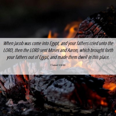 Picture 06 - 1 Samuel 12:8 KJV - When Jacob was come into Egypt, and your fathers - Bible Verse Picture