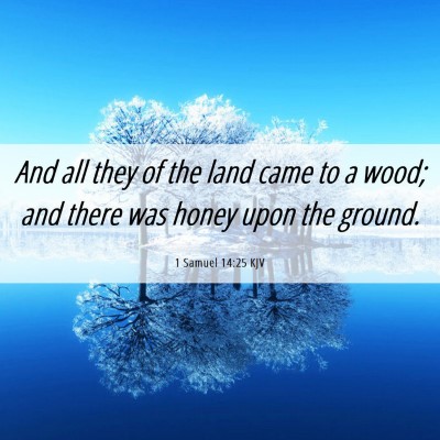 Picture 06 - 1 Samuel 14:25 KJV - And all they of the land came to a wood; and - Bible Verse Picture