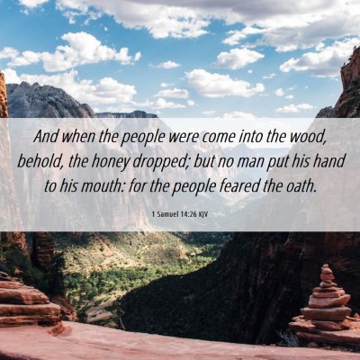 Picture 06 - 1 Samuel 14:26 KJV - And when the people were come into the wood, - Bible Verse Picture