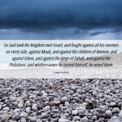 Picture 06 - 1 Samuel 14:47 KJV - So Saul took the kingdom over Israel, and fought - Bible Verse Picture