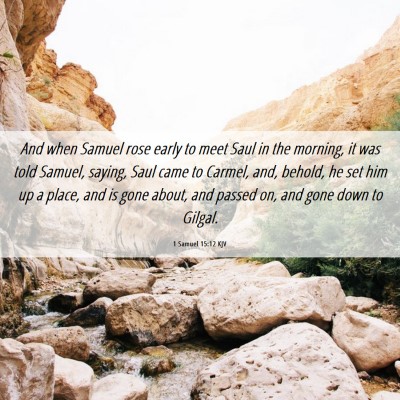 Picture 06 - 1 Samuel 15:12 KJV - And when Samuel rose early to meet Saul in the - Bible Verse Picture