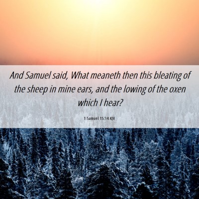 Picture 06 - 1 Samuel 15:14 KJV - And Samuel said, What meaneth then this bleating - Bible Verse Picture