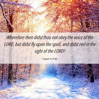 Picture 06 - 1 Samuel 15:19 KJV - Wherefore then didst thou not obey the voice of - Bible Verse Picture
