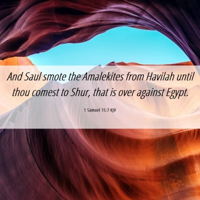 Picture 06 - 1 Samuel 15:7 KJV - And Saul smote the Amalekites from Havilah until - Bible Verse Picture