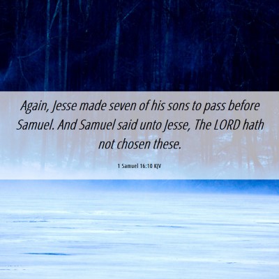 Picture 06 - 1 Samuel 16:10 KJV - Again, Jesse made seven of his sons to pass - Bible Verse Picture