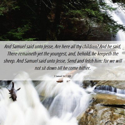 Picture 06 - 1 Samuel 16:11 KJV - And Samuel said unto Jesse, Are here all thy - Bible Verse Picture