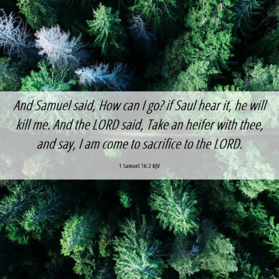 Picture 06 - 1 Samuel 16:2 KJV - And Samuel said, How can I go? if Saul hear it, - Bible Verse Picture