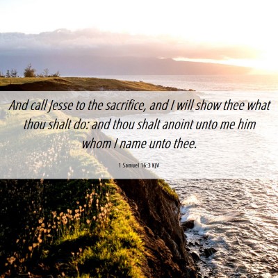 Picture 06 - 1 Samuel 16:3 KJV - And call Jesse to the sacrifice, and I will show - Bible Verse Picture