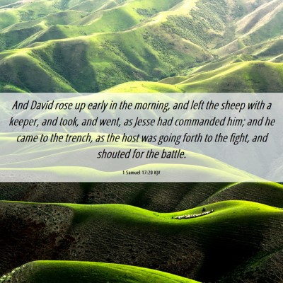 Picture 06 - 1 Samuel 17:20 KJV - And David rose up early in the morning, and left - Bible Verse Picture