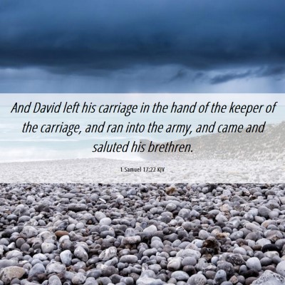 Picture 06 - 1 Samuel 17:22 KJV - And David left his carriage in the hand of the - Bible Verse Picture