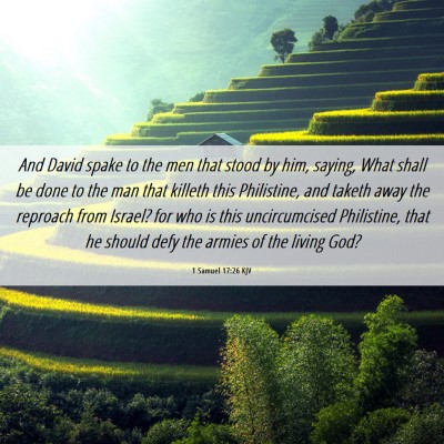 Picture 06 - 1 Samuel 17:26 KJV - And David spake to the men that stood by him, - Bible Verse Picture