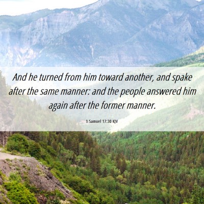 Picture 06 - 1 Samuel 17:30 KJV - And he turned from him toward another, and spake - Bible Verse Picture