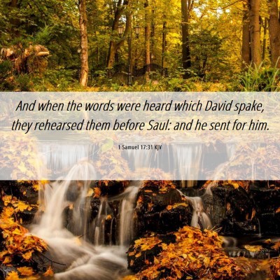 Picture 06 - 1 Samuel 17:31 KJV - And when the words were heard which David spake, - Bible Verse Picture