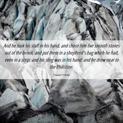 Picture 06 - 1 Samuel 17:40 KJV - And he took his staff in his hand, and chose him - Bible Verse Picture