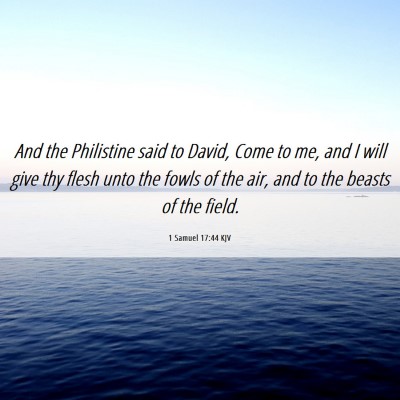 Picture 06 - 1 Samuel 17:44 KJV - And the Philistine said to David, Come to me, and - Bible Verse Picture
