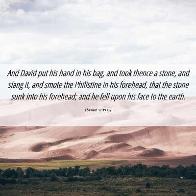 Picture 06 - 1 Samuel 17:49 KJV - And David put his hand in his bag, and took - Bible Verse Picture