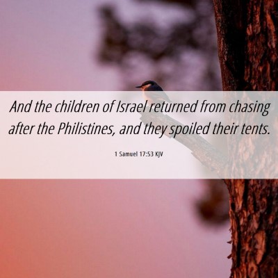 Picture 06 - 1 Samuel 17:53 KJV - And the children of Israel returned from chasing - Bible Verse Picture