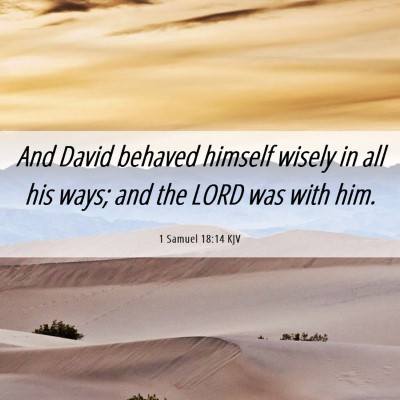 Picture 06 - 1 Samuel 18:14 KJV - And David behaved himself wisely in all his ways; - Bible Verse Picture