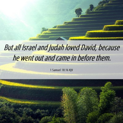 Picture 06 - 1 Samuel 18:16 KJV - But all Israel and Judah loved David, because he - Bible Verse Picture