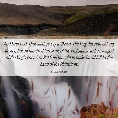 Picture 06 - 1 Samuel 18:25 KJV - And Saul said, Thus shall ye say to David, The - Bible Verse Picture