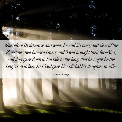 Picture 06 - 1 Samuel 18:27 KJV - Wherefore David arose and went, he and his men, - Bible Verse Picture