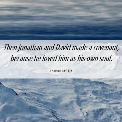 Picture 06 - 1 Samuel 18:3 KJV - Then Jonathan and David made a covenant, because - Bible Verse Picture