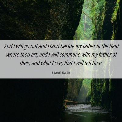 Picture 06 - 1 Samuel 19:3 KJV - And I will go out and stand beside my father in - Bible Verse Picture