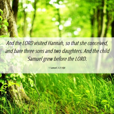 Picture 06 - 1 Samuel 2:21 KJV - And the LORD visited Hannah, so that she - Bible Verse Picture