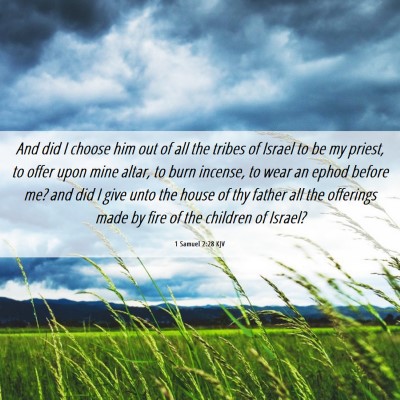 Picture 06 - 1 Samuel 2:28 KJV - And did I choose him out of all the tribes of - Bible Verse Picture