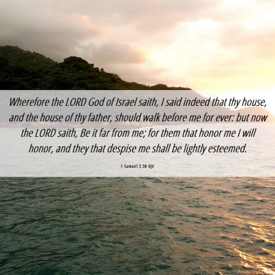 Picture 06 - 1 Samuel 2:30 KJV - Wherefore the LORD God of Israel saith, I said - Bible Verse Picture
