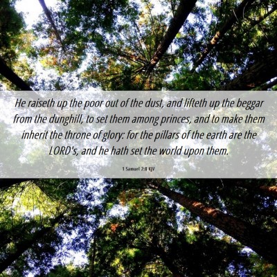Picture 06 - 1 Samuel 2:8 KJV - He raiseth up the poor out of the dust, and - Bible Verse Picture