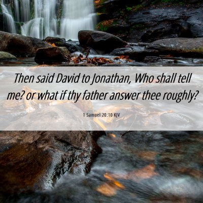 Picture 06 - 1 Samuel 20:10 KJV - Then said David to Jonathan, Who shall tell me? - Bible Verse Picture