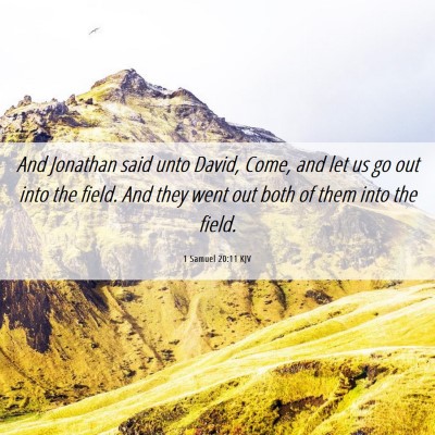 Picture 06 - 1 Samuel 20:11 KJV - And Jonathan said unto David, Come, and let us go - Bible Verse Picture