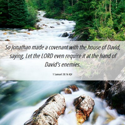 Picture 06 - 1 Samuel 20:16 KJV - So Jonathan made a covenant with the house of - Bible Verse Picture