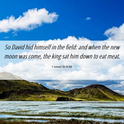 Picture 06 - 1 Samuel 20:24 KJV - So David hid himself in the field: and when the - Bible Verse Picture