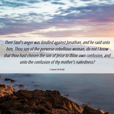 Picture 06 - 1 Samuel 20:30 KJV - Then Saul's anger was kindled against Jonathan, - Bible Verse Picture