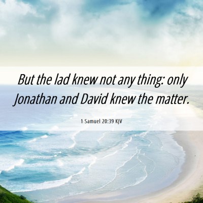 Picture 06 - 1 Samuel 20:39 KJV - But the lad knew not any thing: only Jonathan and - Bible Verse Picture