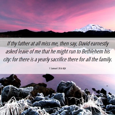 Picture 06 - 1 Samuel 20:6 KJV - If thy father at all miss me, then say, David - Bible Verse Picture